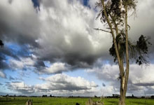 中超最新排名有哪些变化？各队表现背后藏着什么故事？